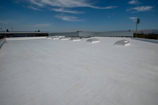 Best Roof Insulation Installation  in Lenox, IA