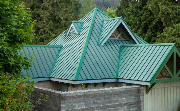 Best Roof Maintenance and Cleaning  in Lenox, IA