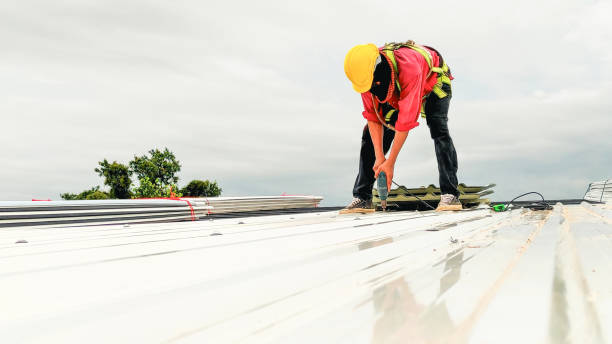 Best Rubber Roofing (EPDM, TPO)  in Lenox, IA