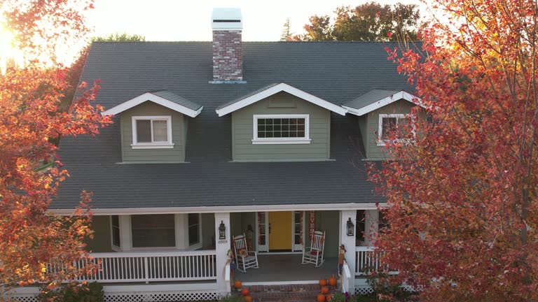 Best Chimney Flashing Repair  in Lenox, IA